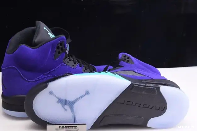Kicktheory Jordan Grape Retro Alternate Air 136027-500 5 0531